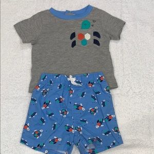 🌵Little Wonders Turtle Set